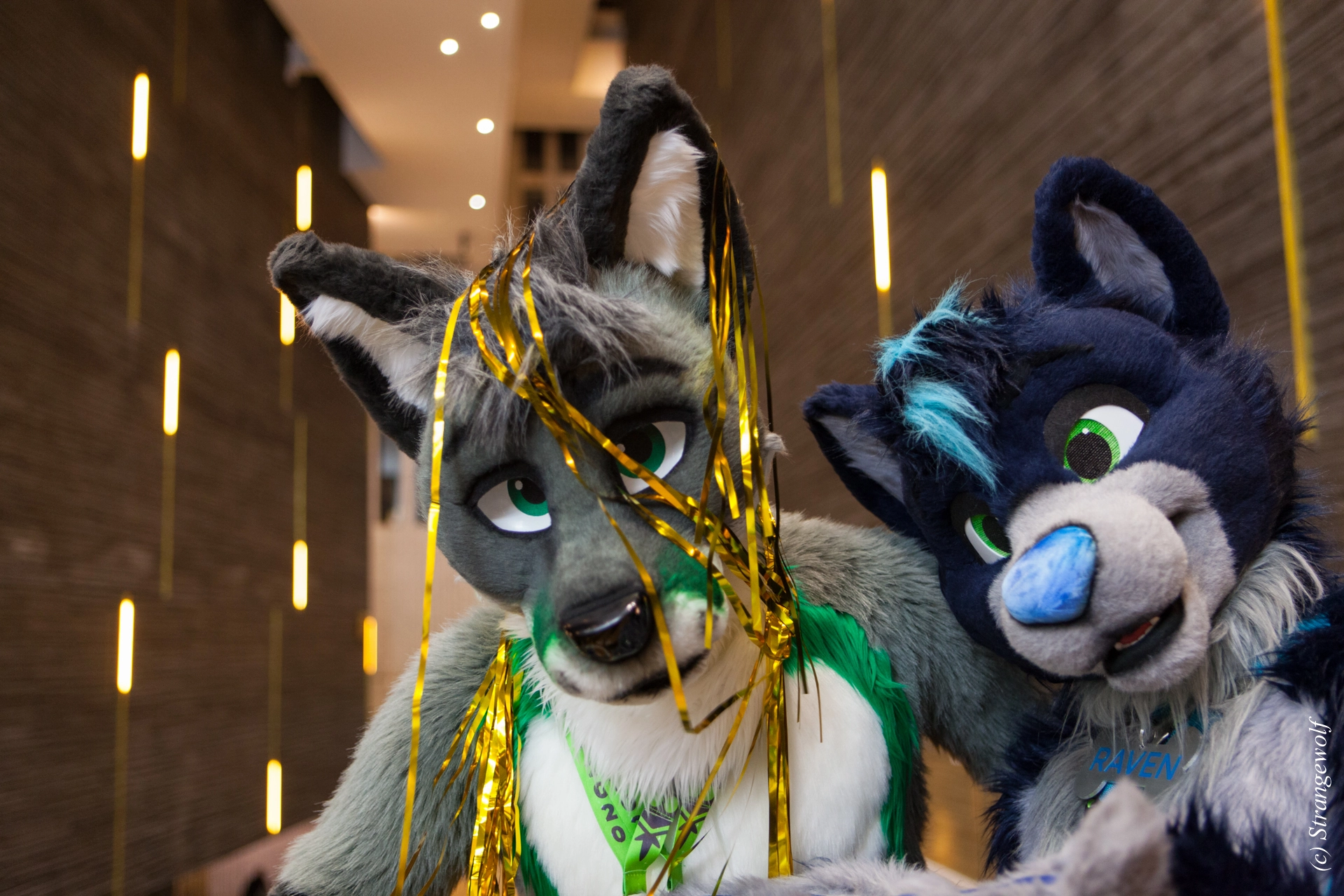 full image IMG_8325-lr19t.jpg