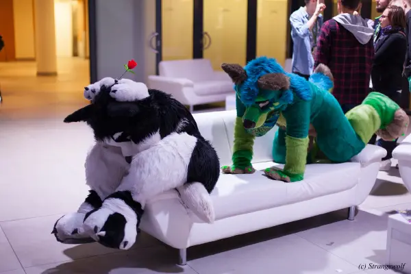 IMG_5375-lr19t.jpg of EF/EF24/