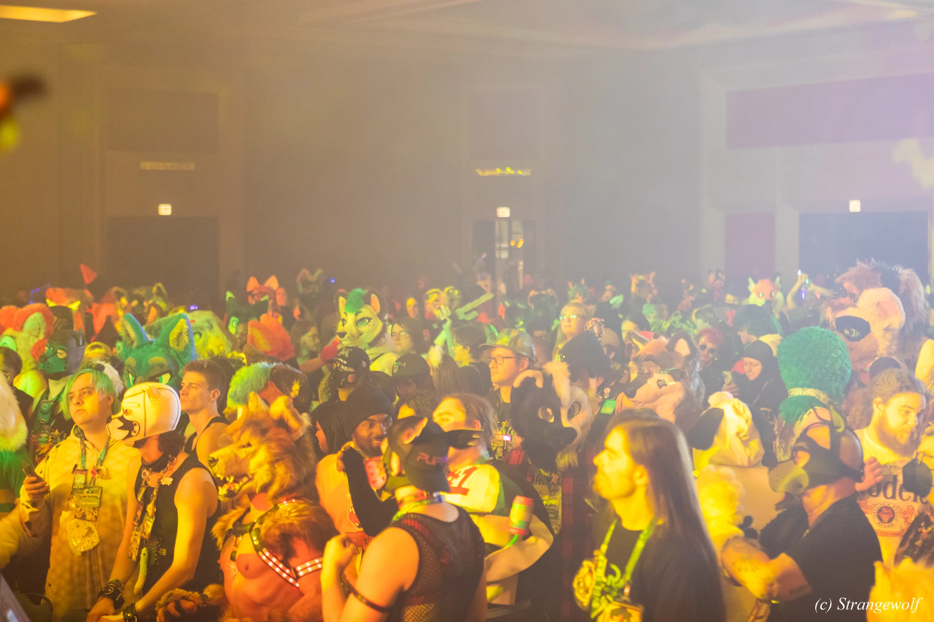 full image 1R3A4850-lr19t.jpg