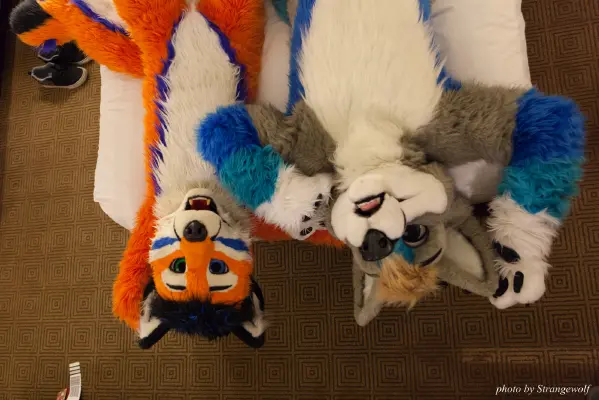 IMG_4167-lr16t.jpg of MFF/MFF2015/