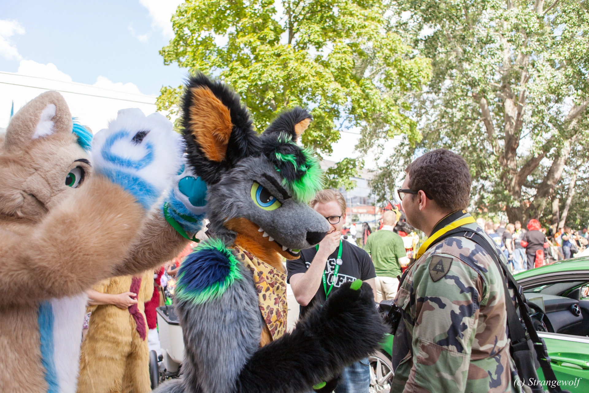 full image IMG_6918-lr19t.jpg