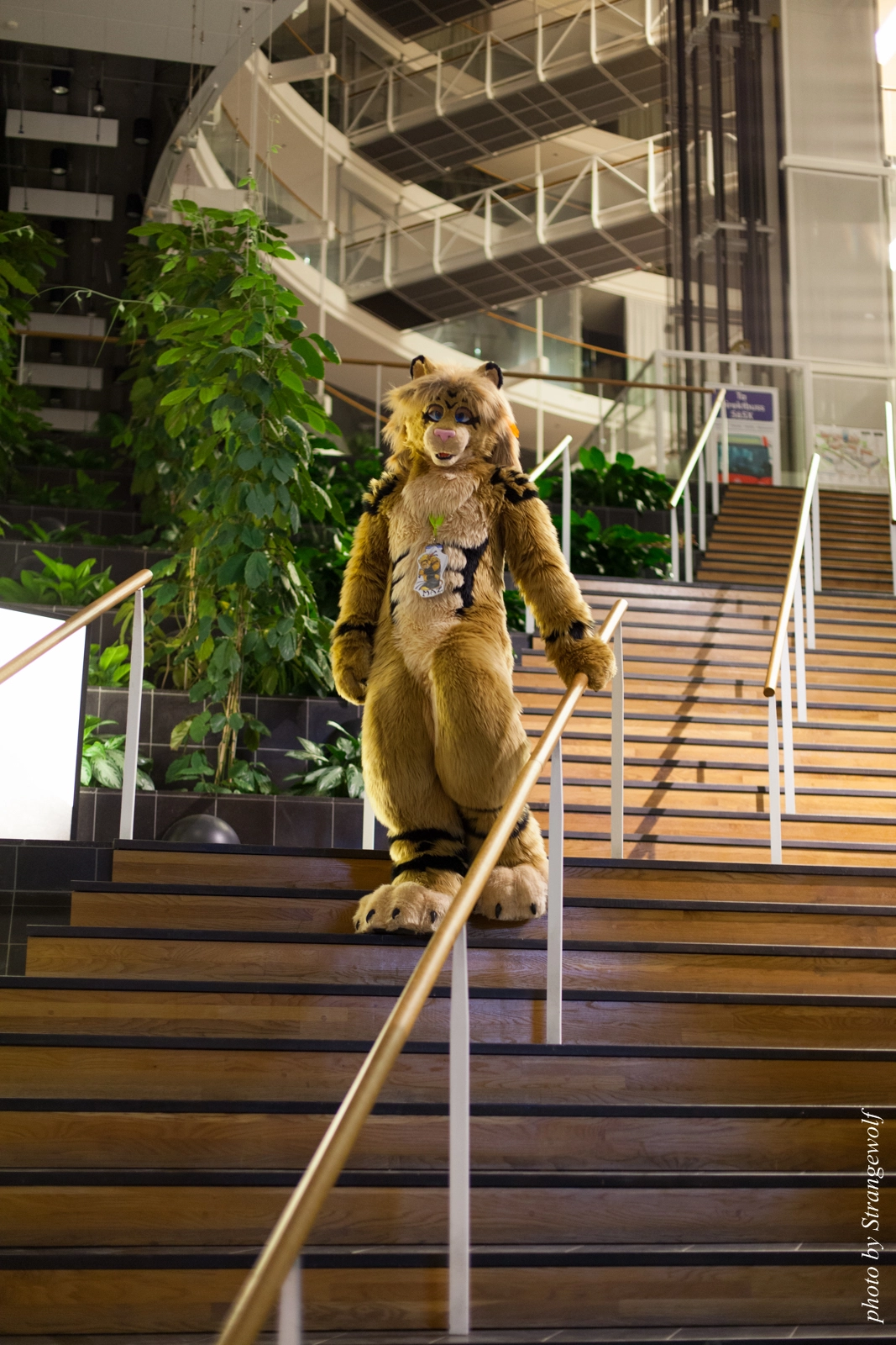 full image IMG_2522-lr16t.jpg