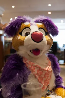 IMG_7527-lr16t.jpg of CFZ/CFZ2016/