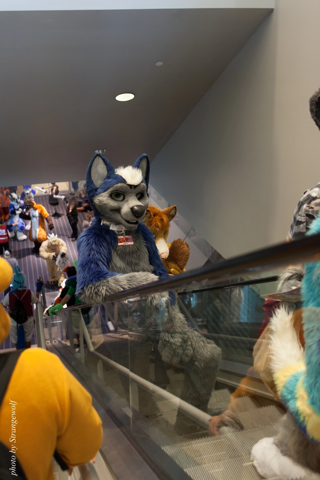 full image IMG_8090-lr16t.jpg