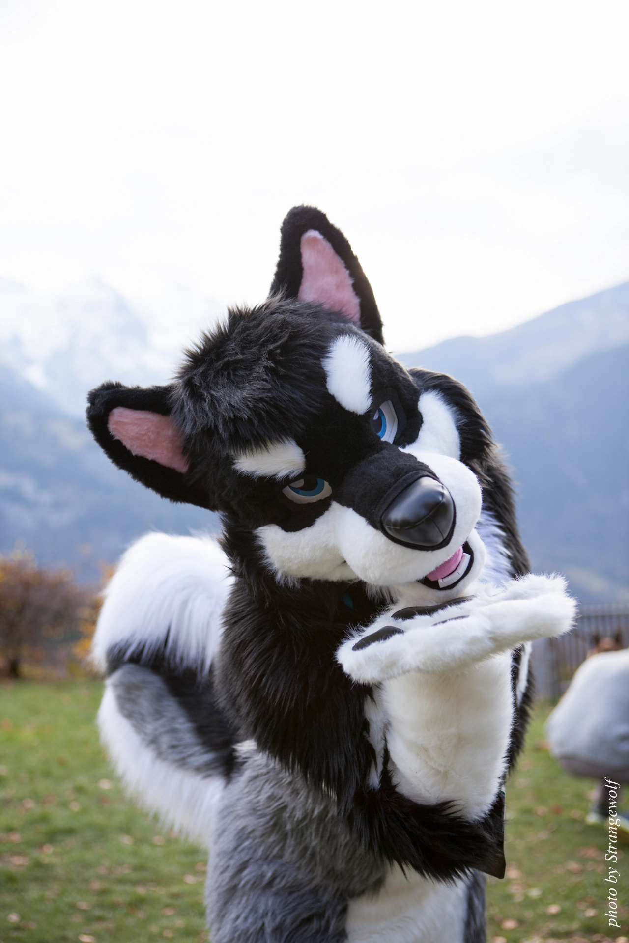 full image IMG_7966-lr19t.jpg