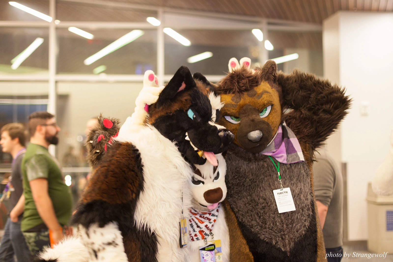 full image IMG_1204-lr16t.jpg