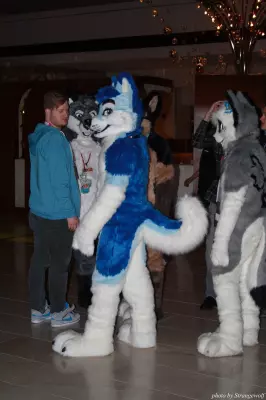 IMG_0862-lr.jpg of MFF/MFF2013/