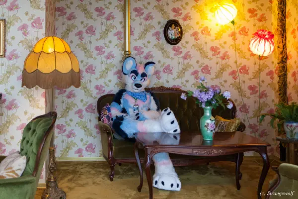 IMG_8476-lr19t.jpg of NFC/NFC2020/