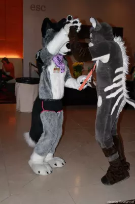 IMG_0880-lr.jpg of MFF/MFF2013/