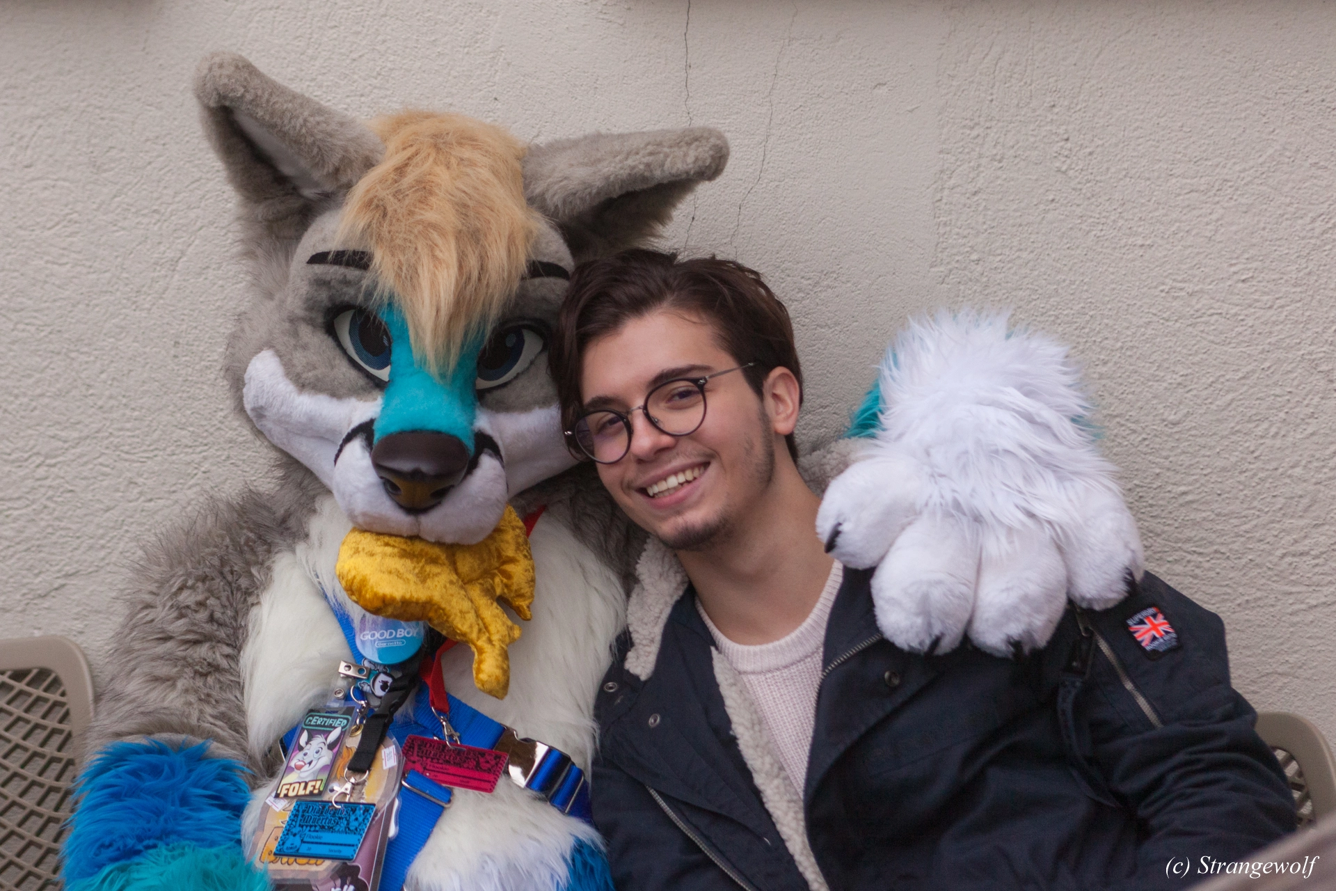 full image IMG_7009-lr19t.jpg