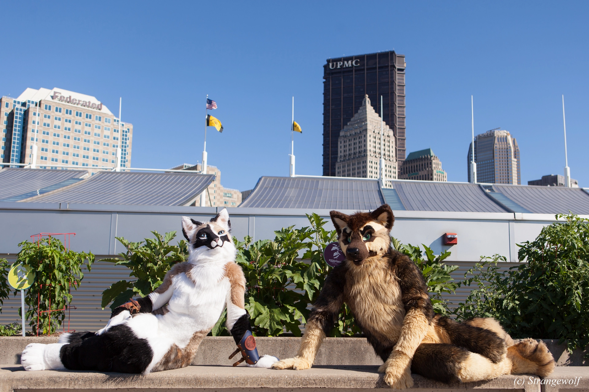full image IMG_4315-lr19t.jpg