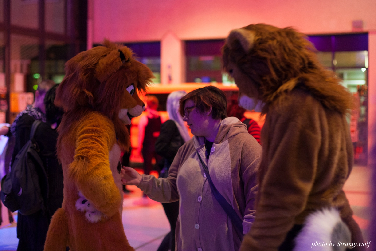 full image IMG_0009-lr16t.jpg