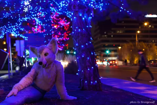 IMG_0772-lr16t.jpg of MFF/MFF2016/Photoshoot-Glitch_Merwusky/