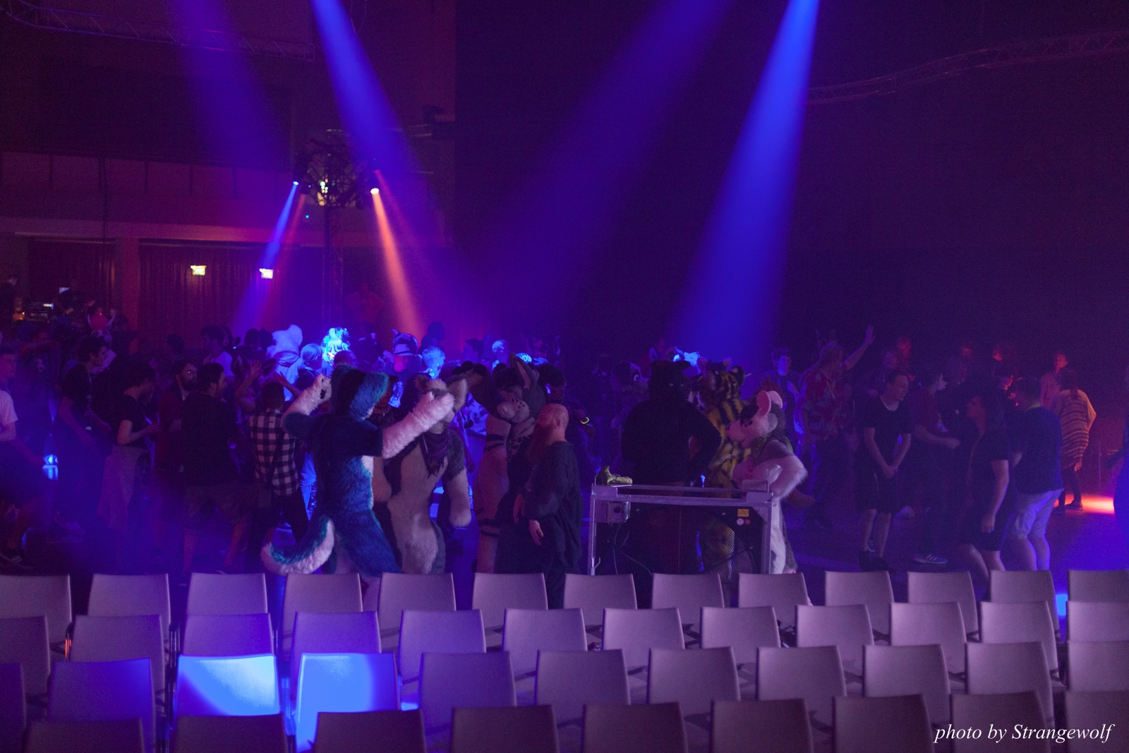 full image IMG_1705-lr16t.jpg