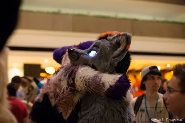 IMG_4101-lr16t.jpg of MFF/MFF2015/