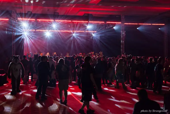 IMG_4427-lr16t.jpg of MFF/MFF2015/