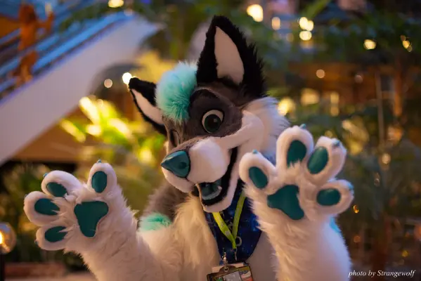 IMG_2163-lr16t.jpg of NFC/NFC2017/