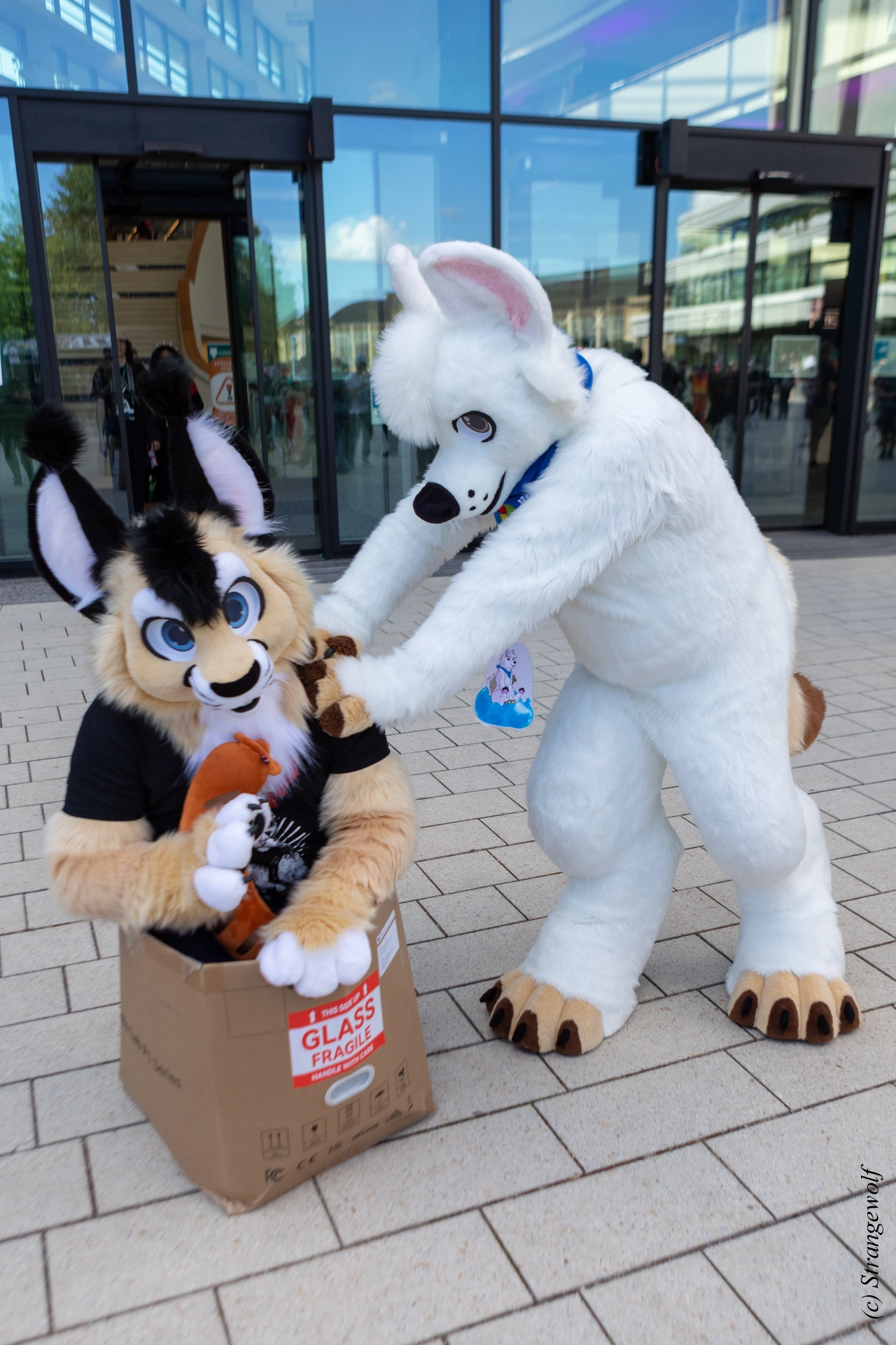 full image 1R3A9296-lr19t.jpg