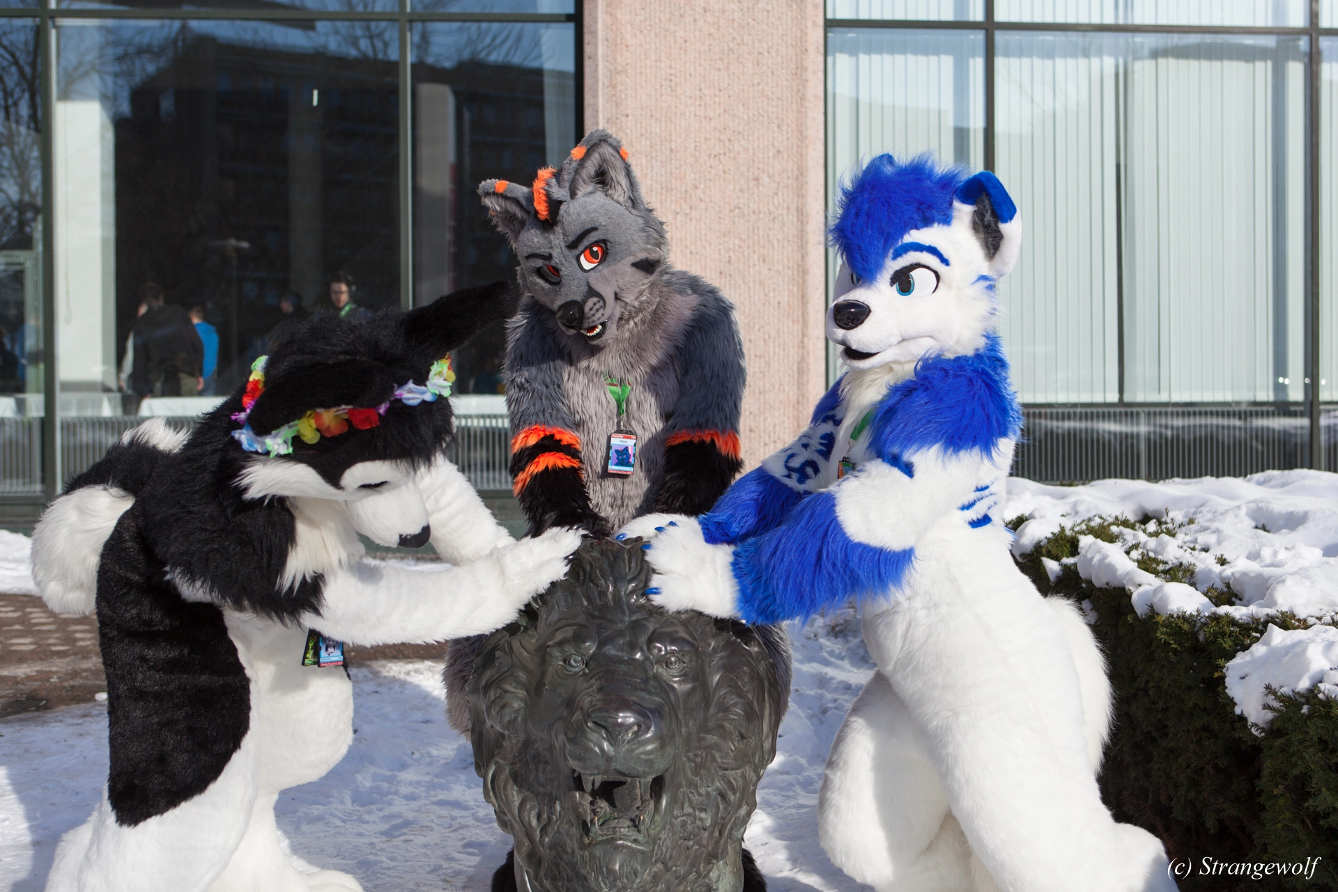 full image IMG_9643-lr19t.jpg