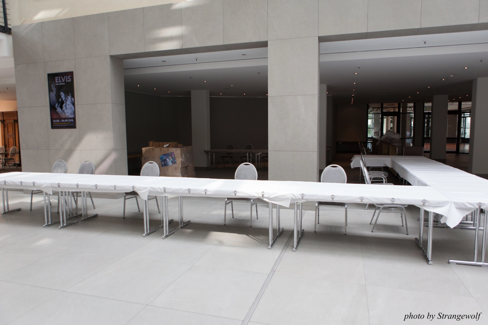 full image IMG_8900-lr16t.jpg