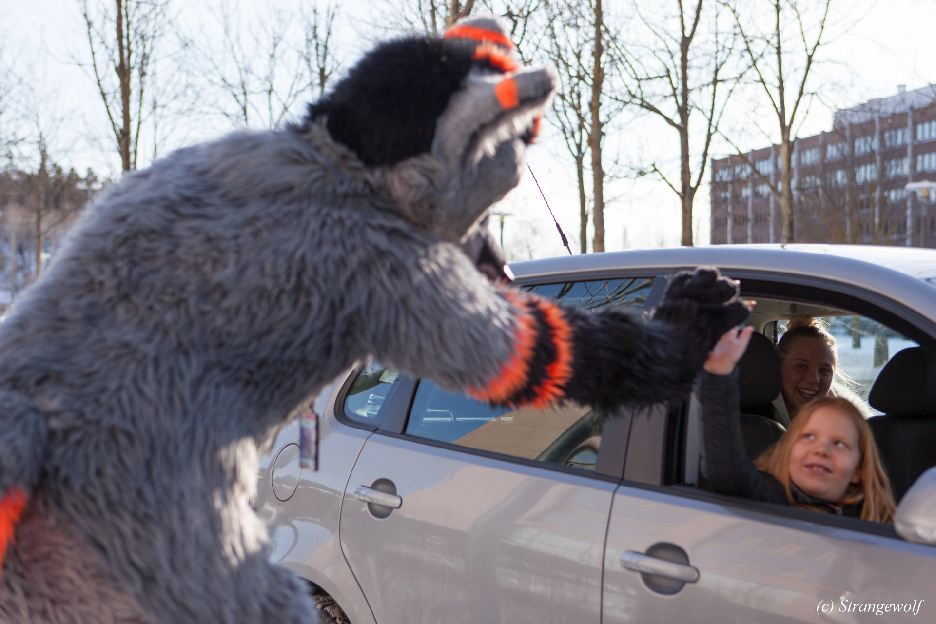 full image IMG_9879-lr19t.jpg