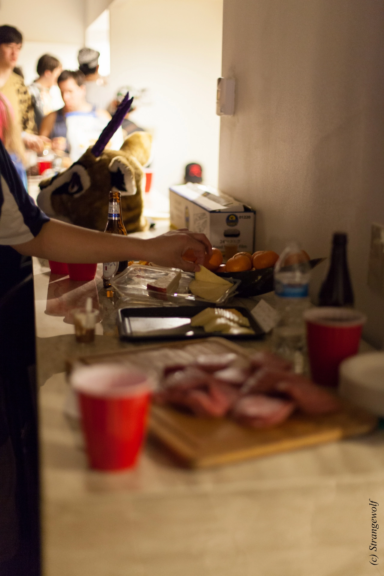 full image IMG_2137-lr19t.jpg