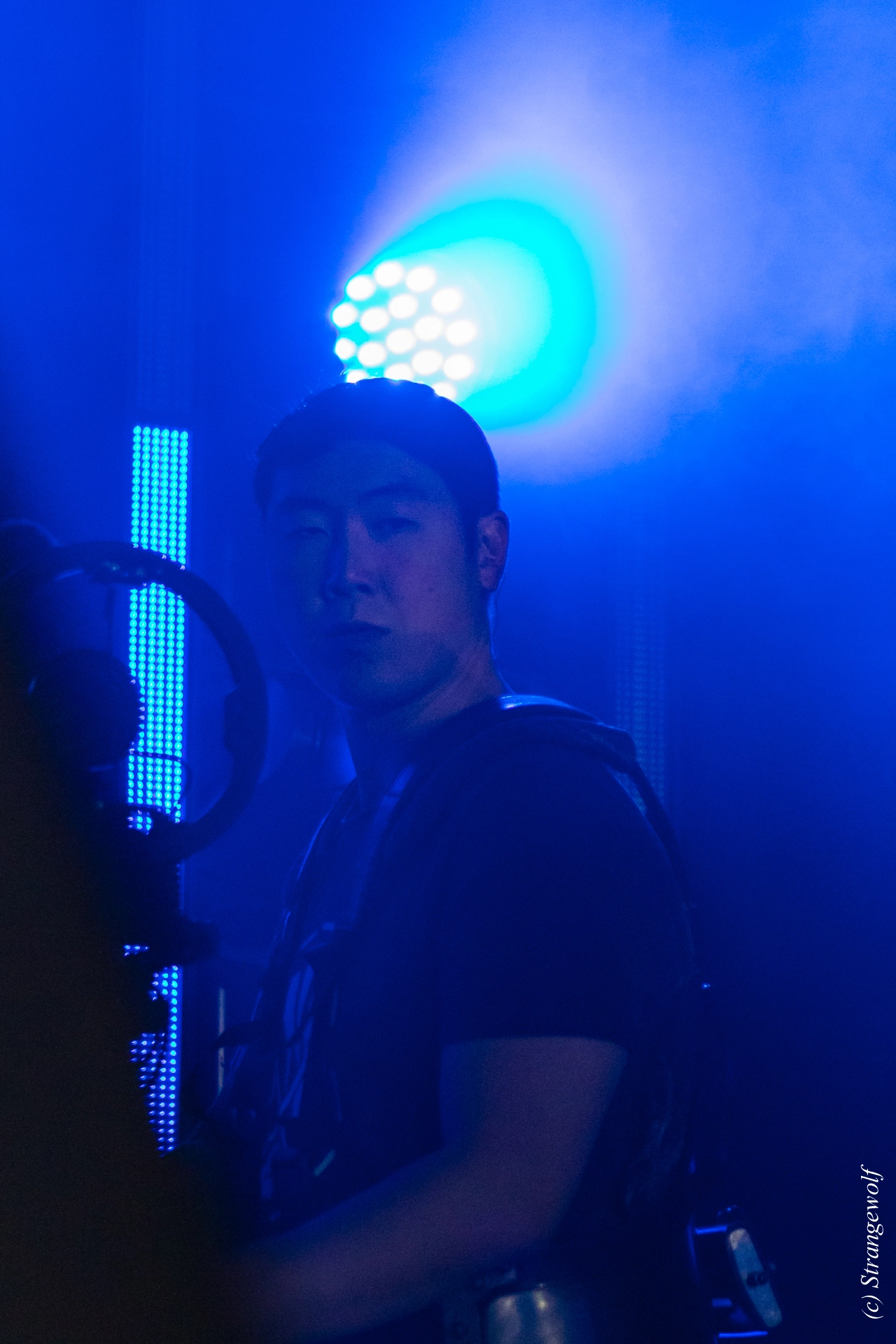 full image 1R3A4913-lr19t.jpg