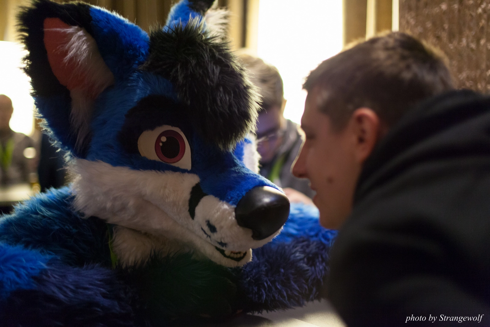 full image IMG_1558-lr16t.jpg