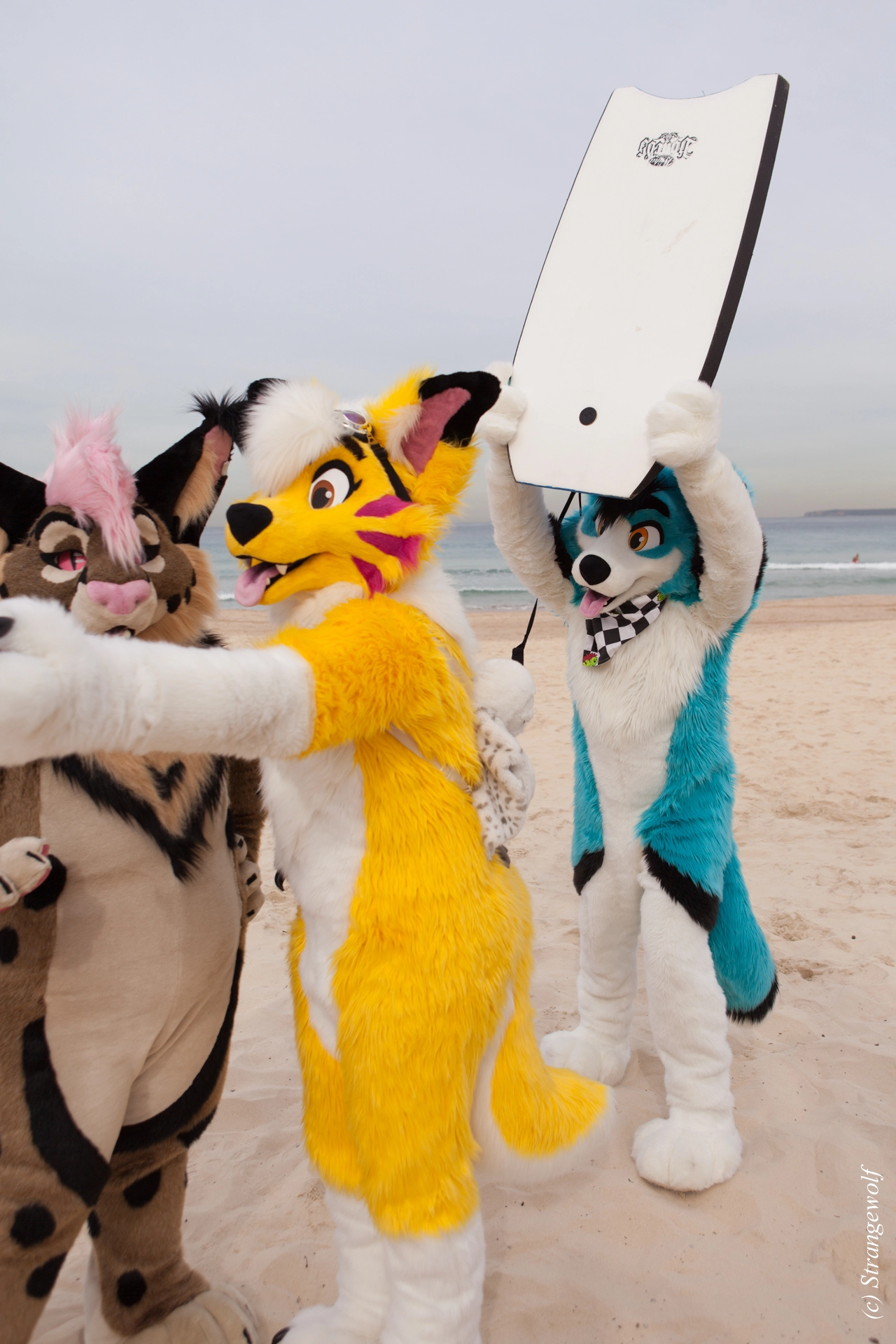 full image IMG_4483-lr19t.jpg