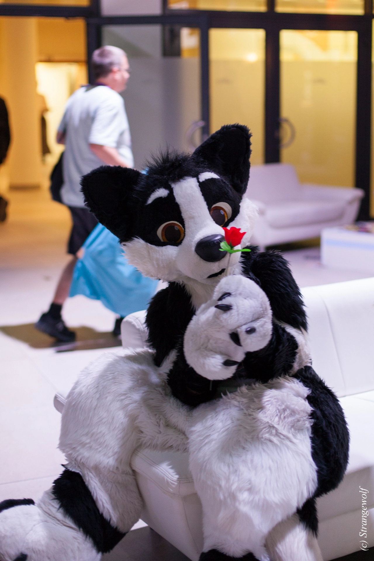 full image IMG_5386-lr19t.jpg