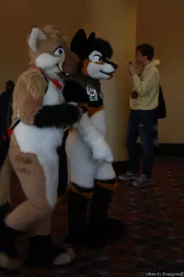 IMG_0513-lr.jpg of MFF/MFF2013/