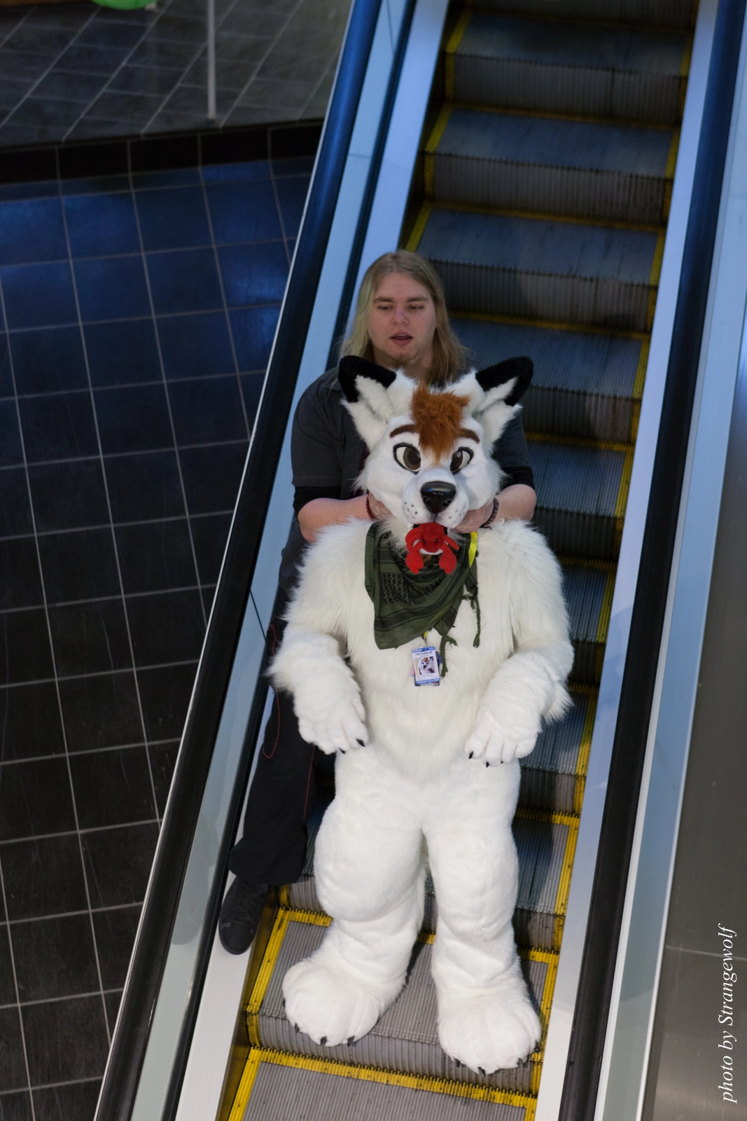 full image IMG_1718-lr16t.jpg