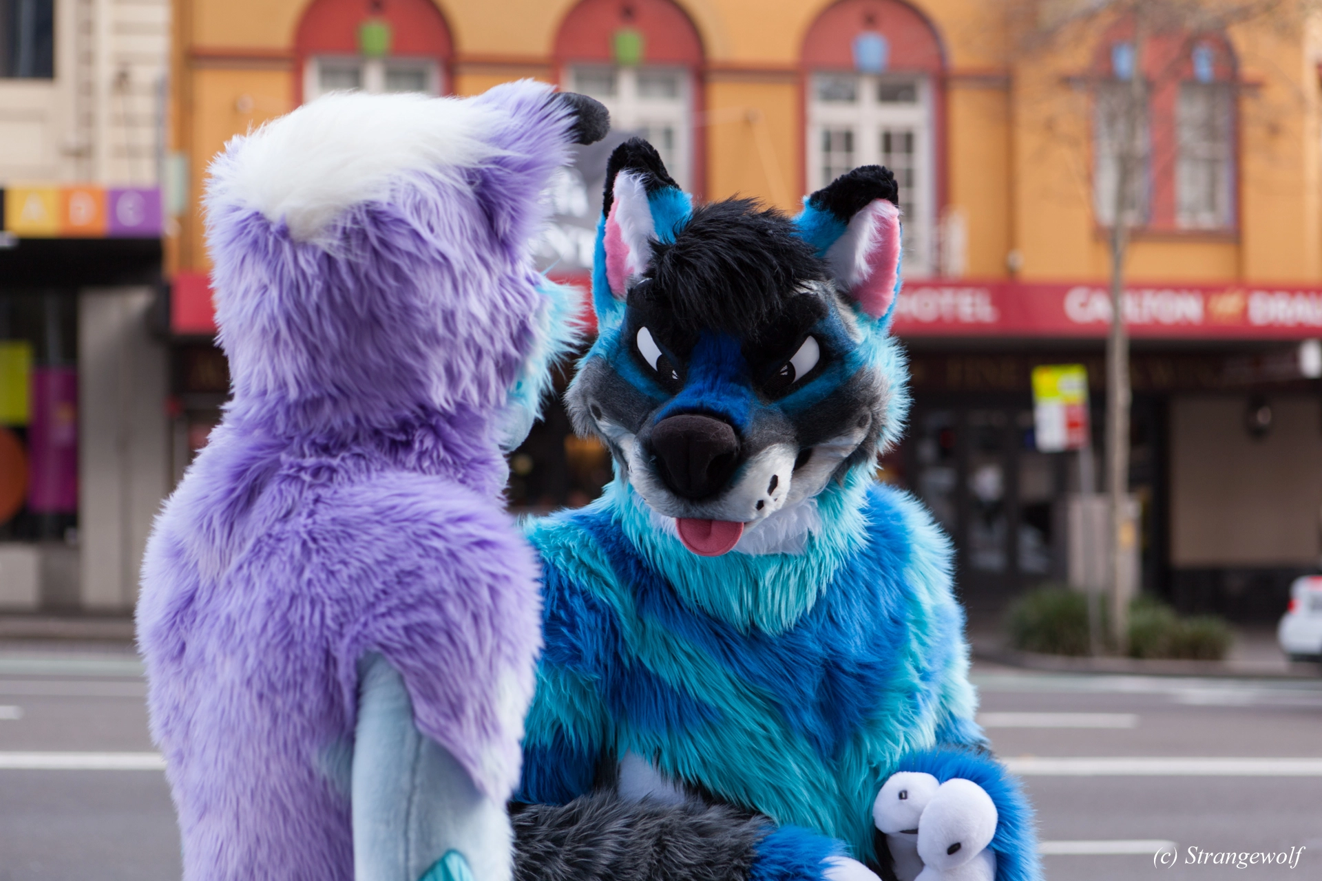 full image IMG_4549-lr19t.jpg