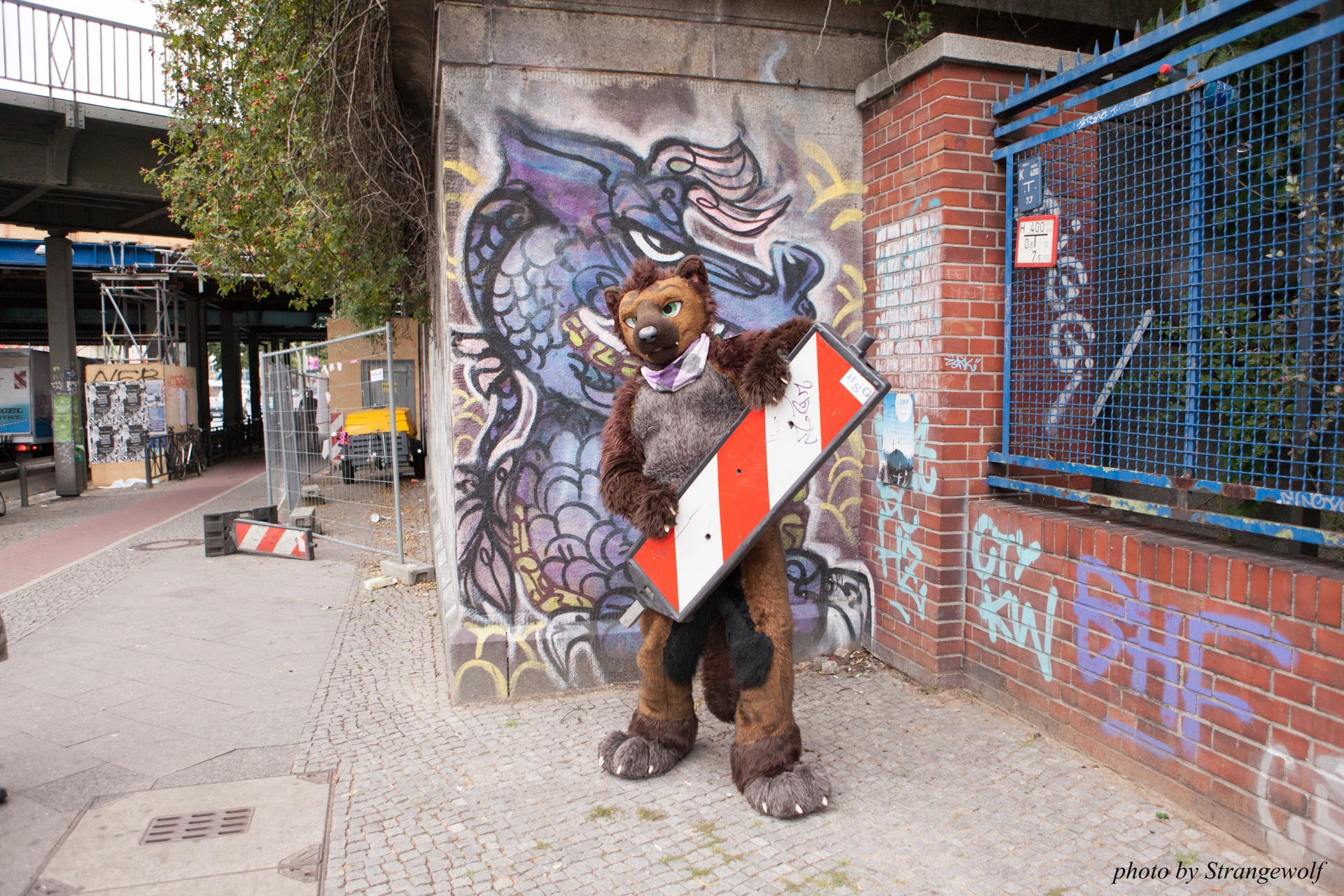 full image IMG_6794-lr19t-2.jpg