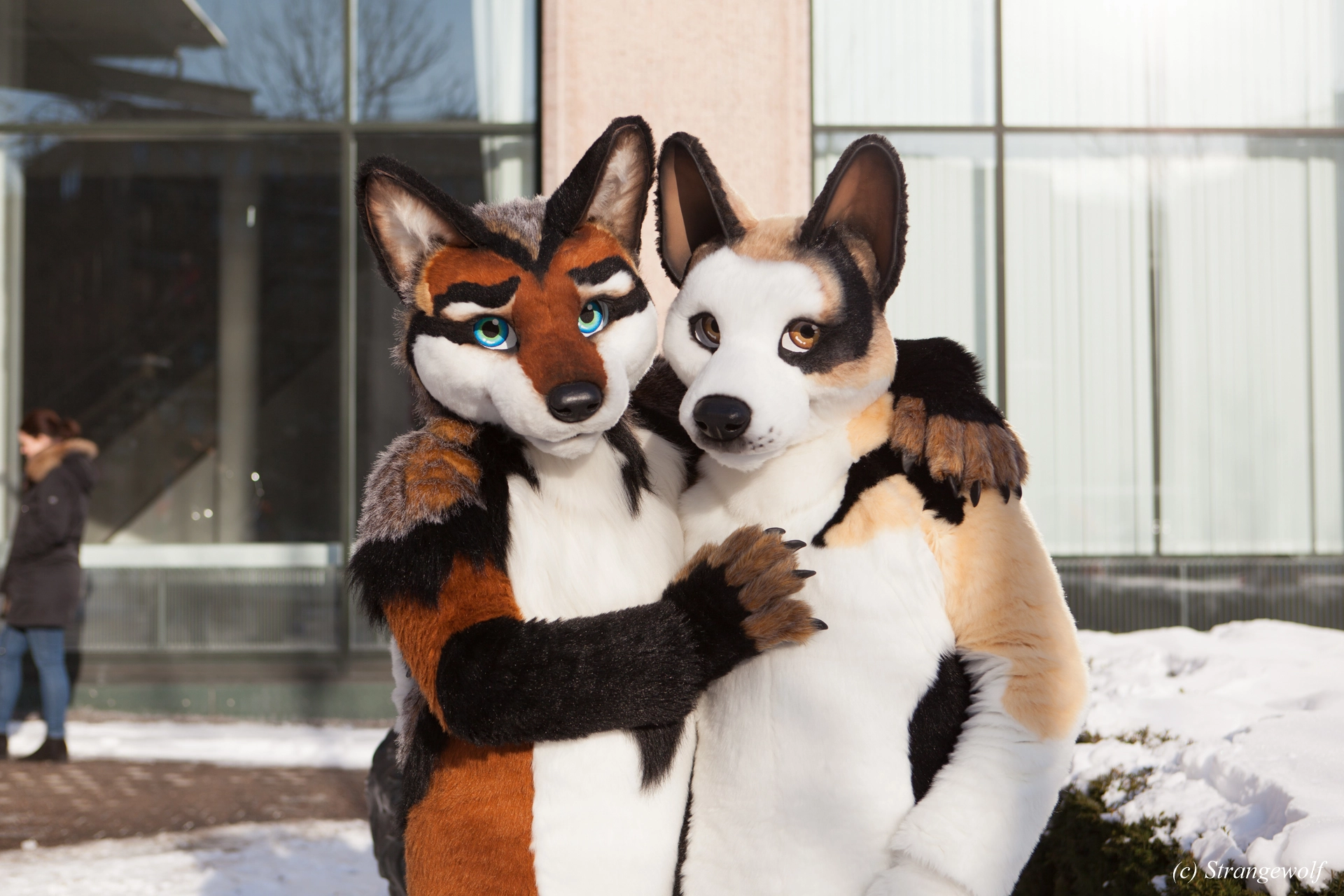 full image IMG_0012-lr19t.jpg