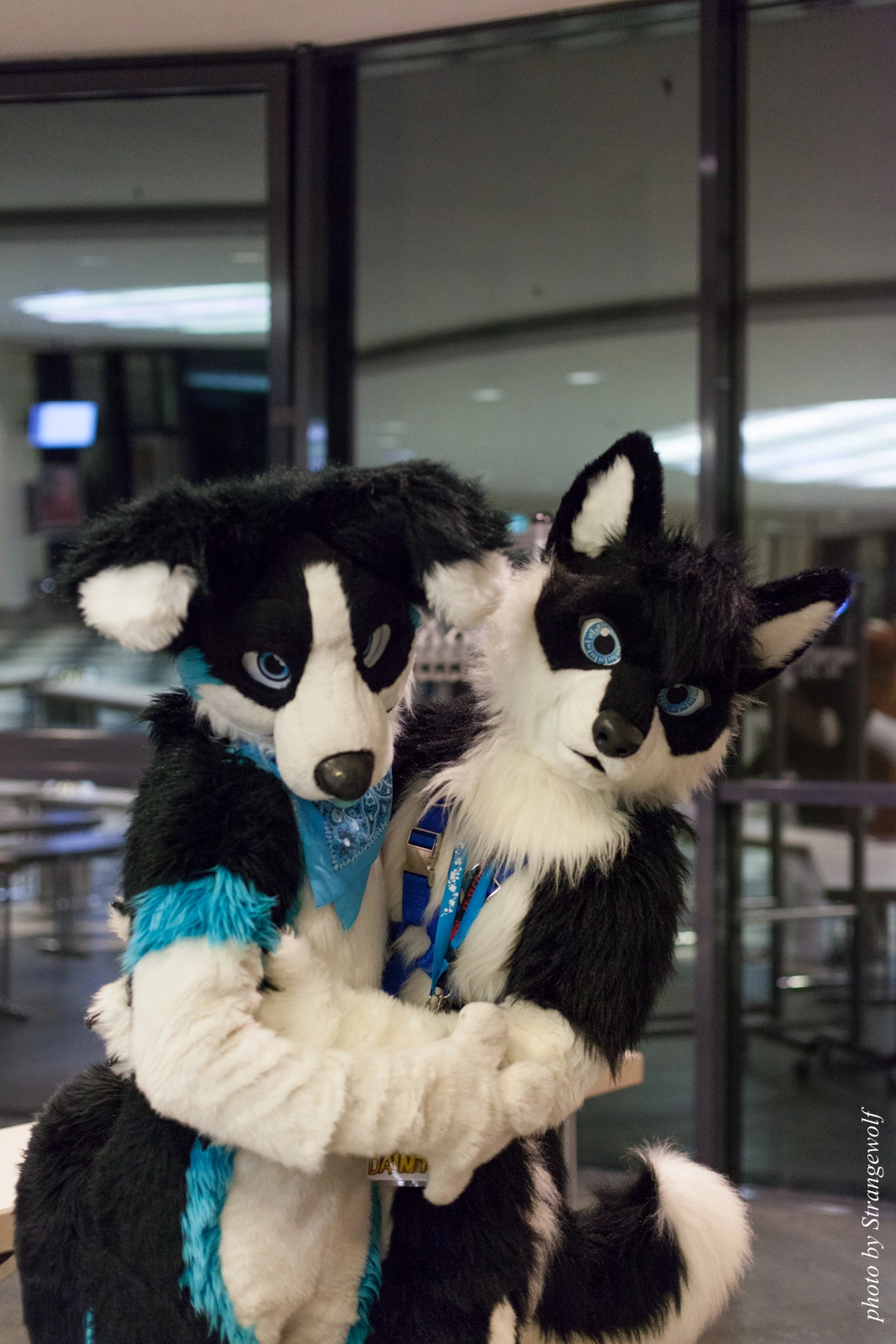 full image IMG_1971-lr16t.jpg