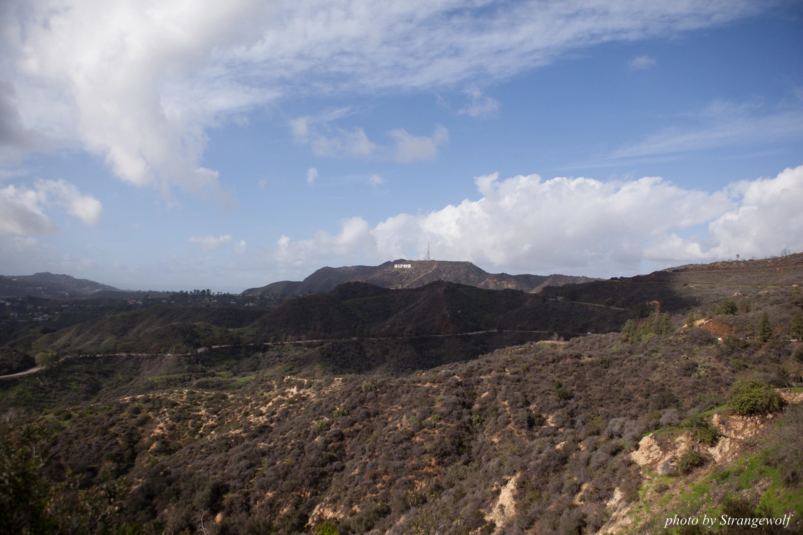 full image IMG_0965-lr16t.jpg