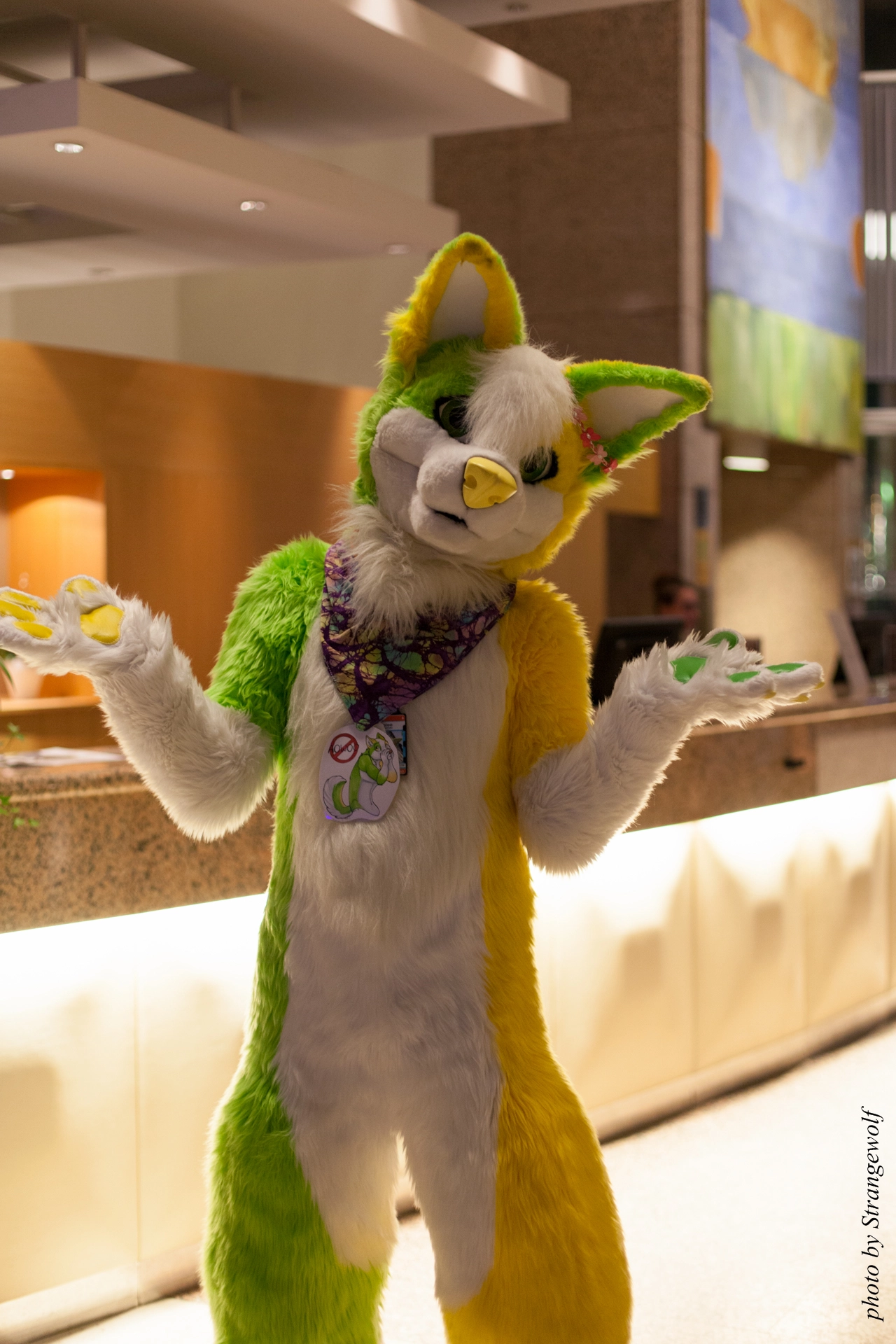 full image IMG_0210-lr19t.jpg