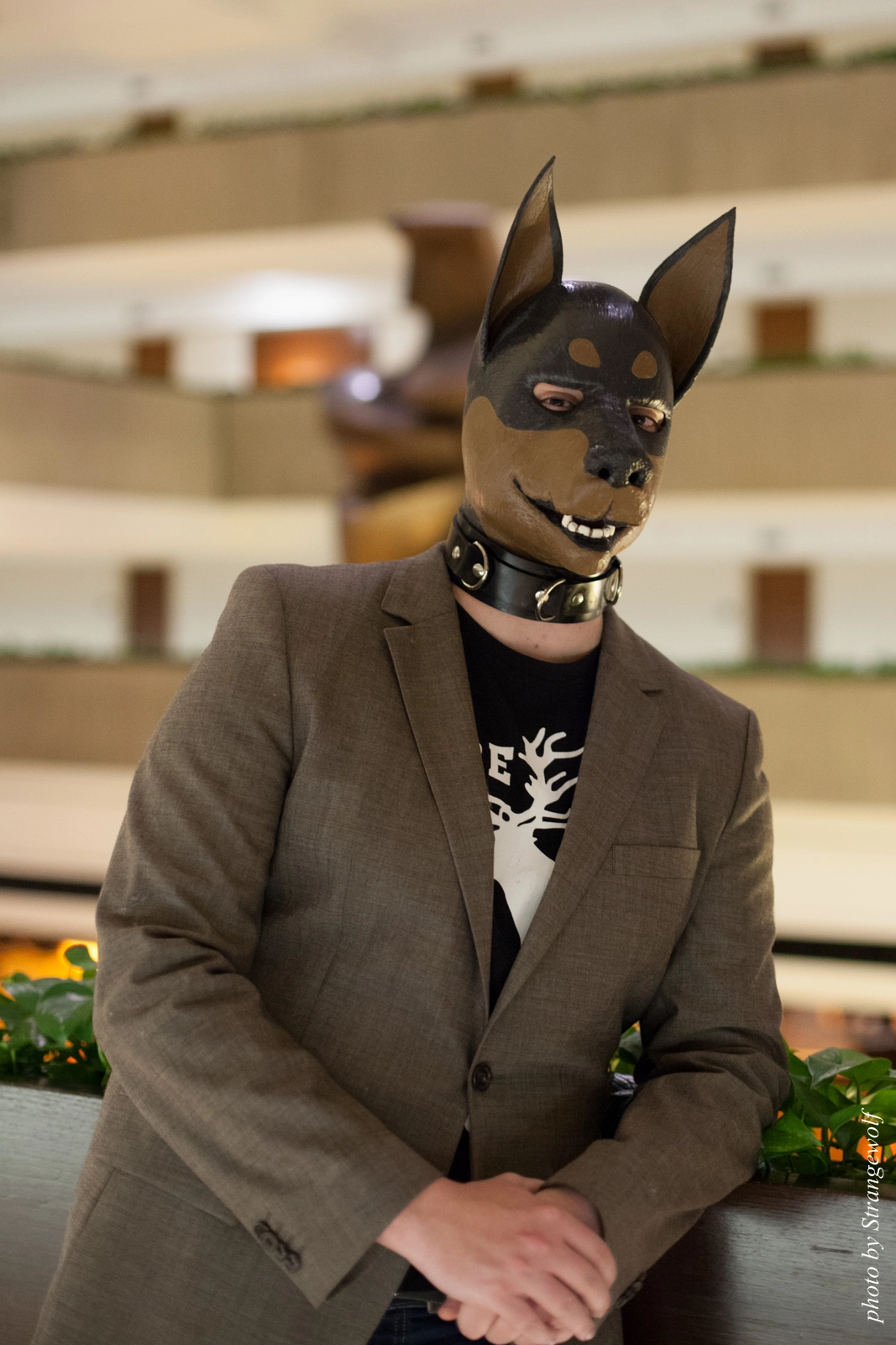 full image IMG_5379-lr16t.jpg