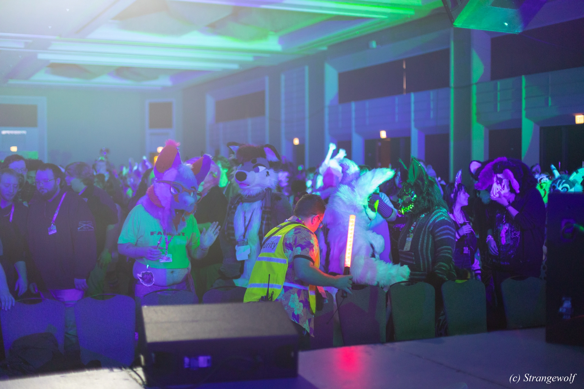 full image 1R3A0495-lr19t.jpg