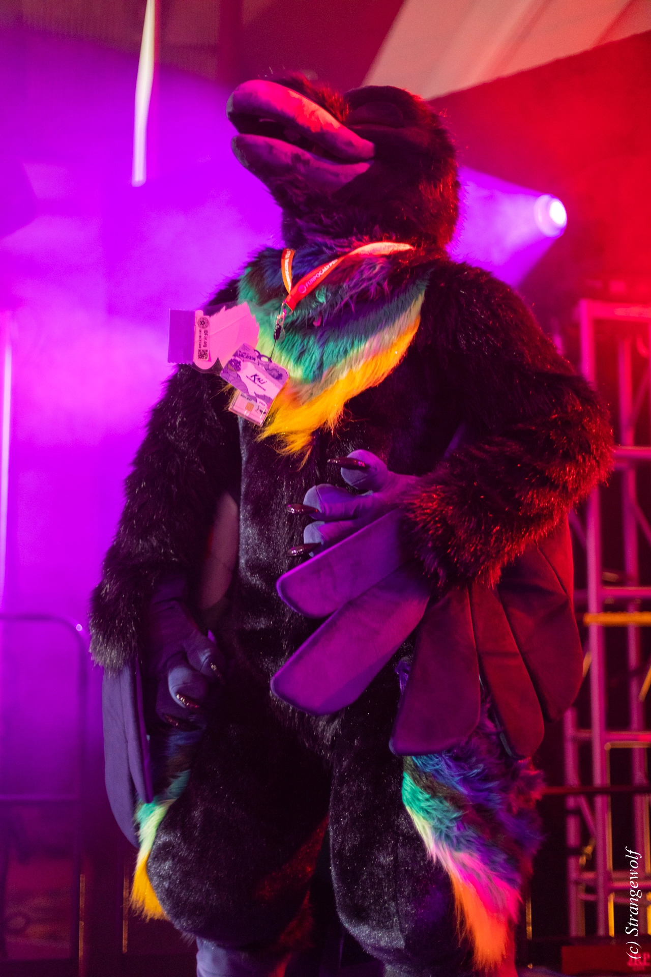 full image 1R3A0700-lr19t.jpg