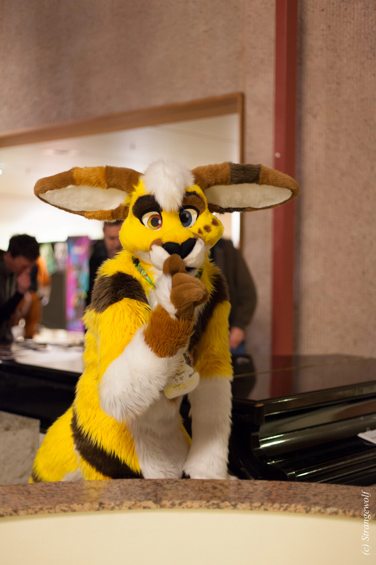 full image IMG_0929-lr19t.jpg