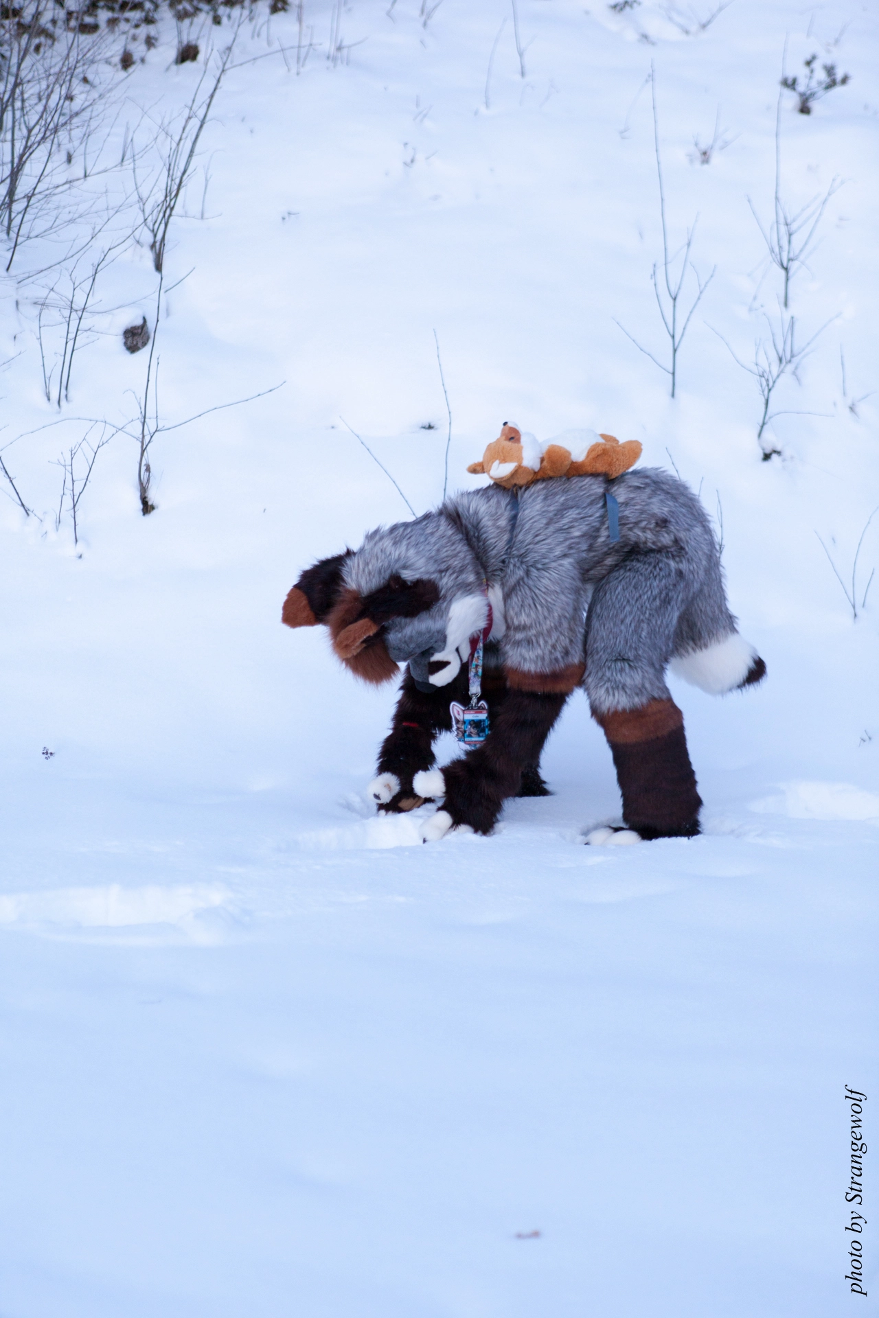 full image IMG_0558-lr19t.jpg