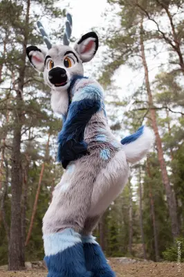 IMG_8637-lr19t.jpg of NFC/NFC2019/Shoot-Strife_Carlito/