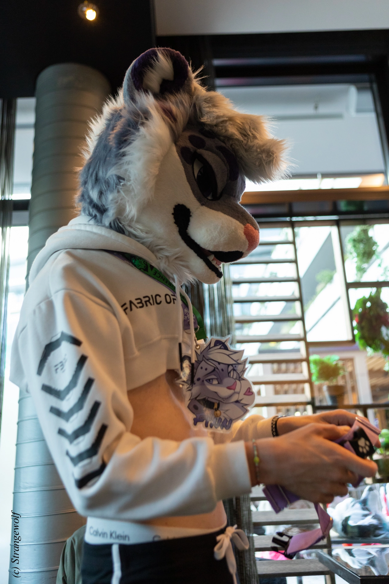 full image 1R3A9358-lr19t.jpg