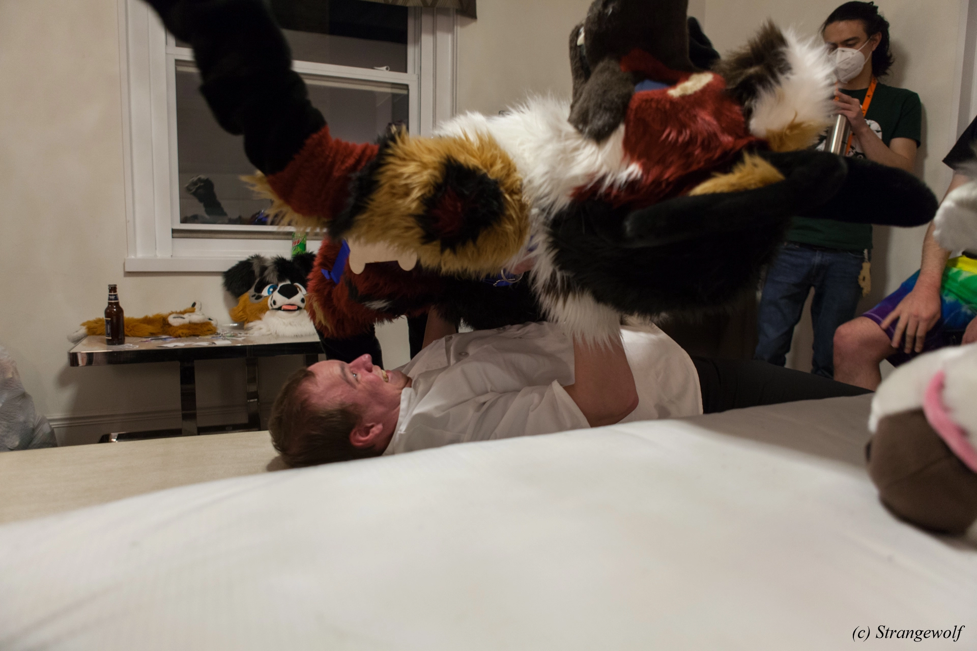 full image IMG_3368-lr19t.jpg