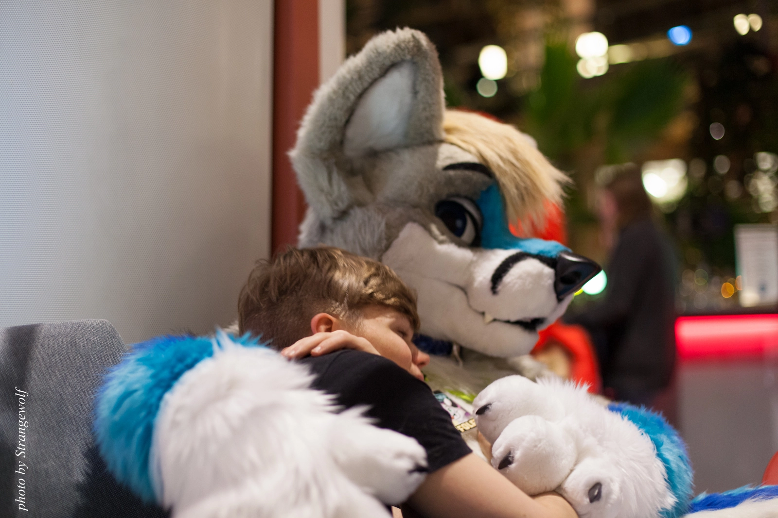 full image IMG_2507-lr16t.jpg