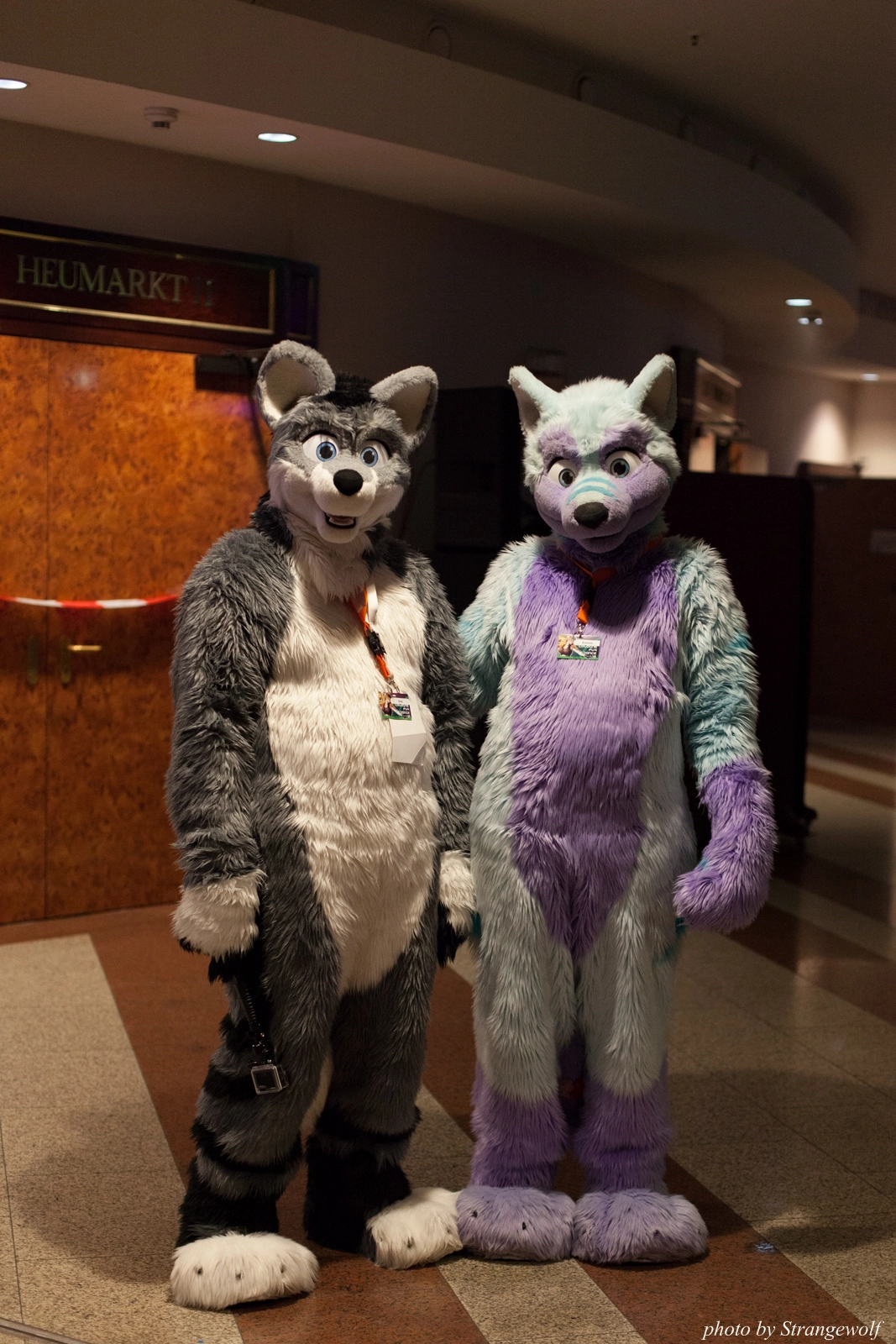 full image IMG_1302-lr16t.jpg