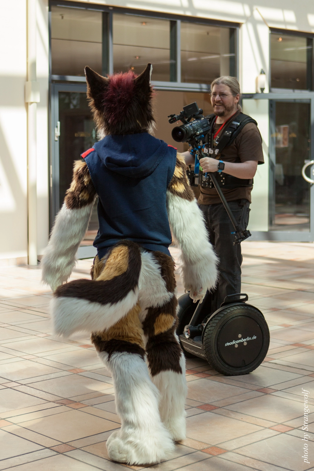 full image IMG_1858-lr16t.jpg