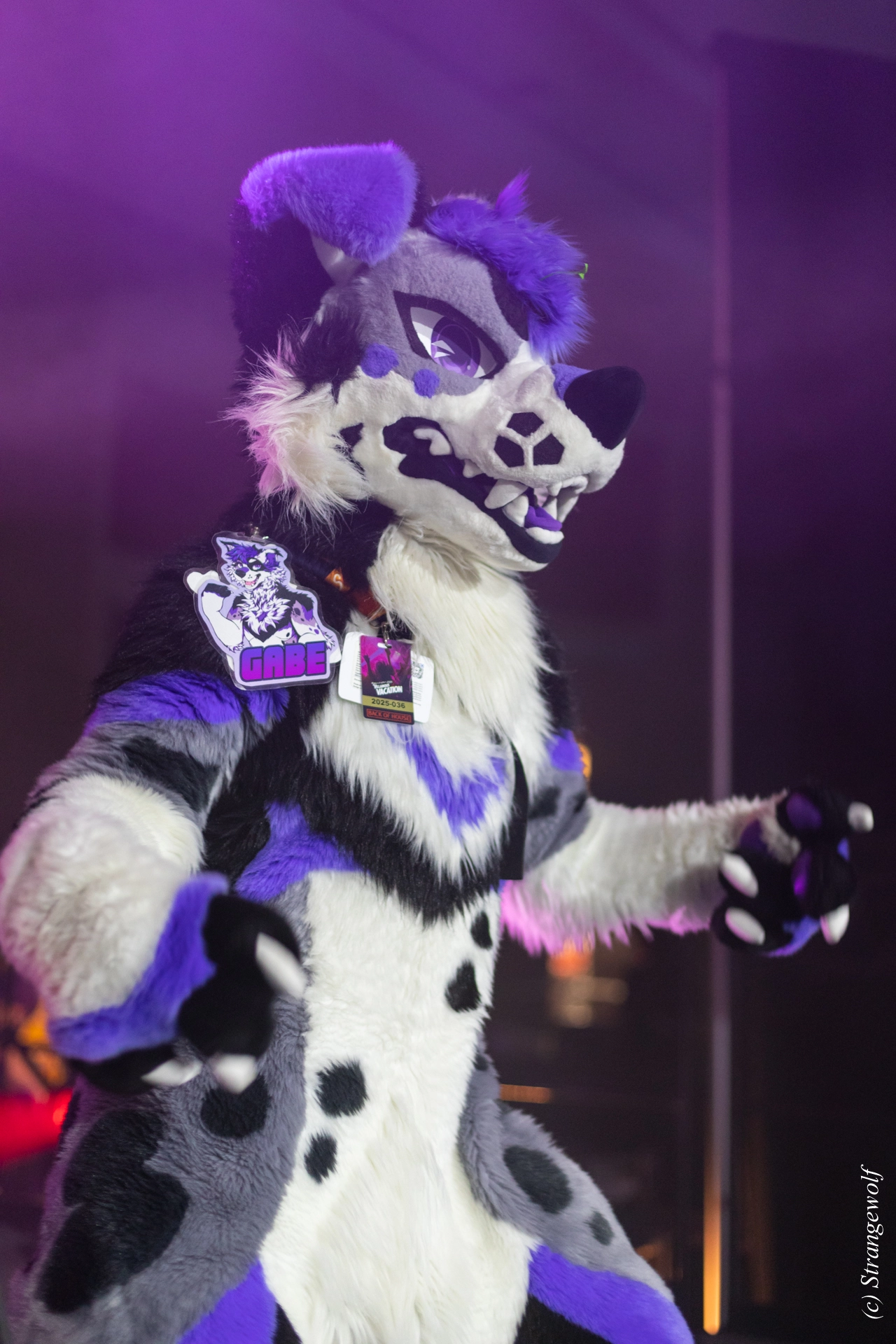 full image 1R3A0746-lr19t.jpg